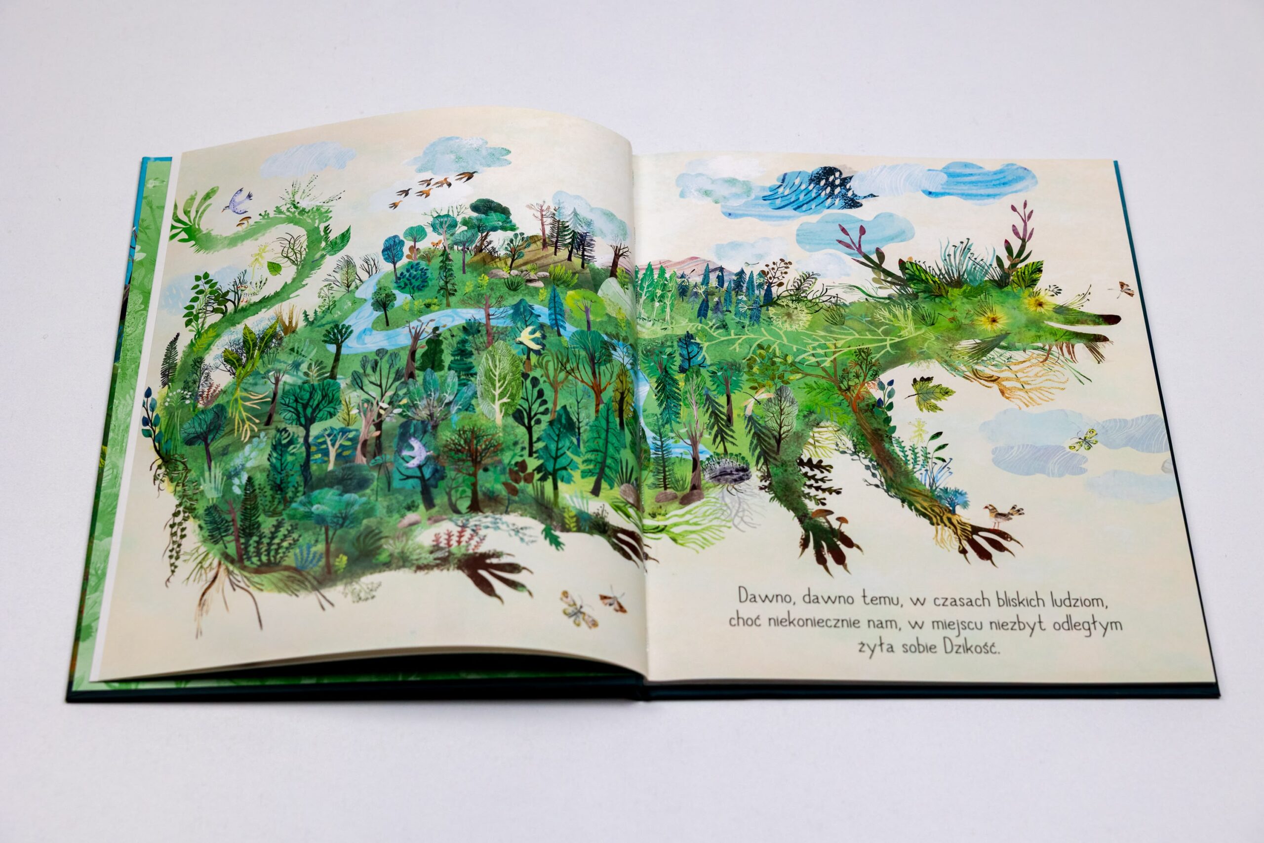 Wnętrze książki przedstawia zwierza stworzonego z lasów, zieleni, przyrody i dzikości. Tekst widniejący poniżej: "Dawno, dawno temu, w czasach bliskich ludziom, choć niekoniecznie nam, w miejscu niezbyt odległym żyła sobie Dzikość."